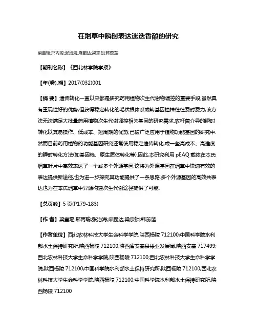 在烟草中瞬时表达迷迭香酸的研究