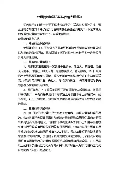 公母鸽的鉴别方法与养殖大棚须知