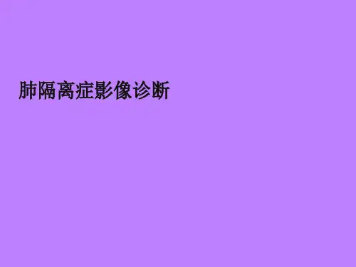 肺隔离症的影像表现