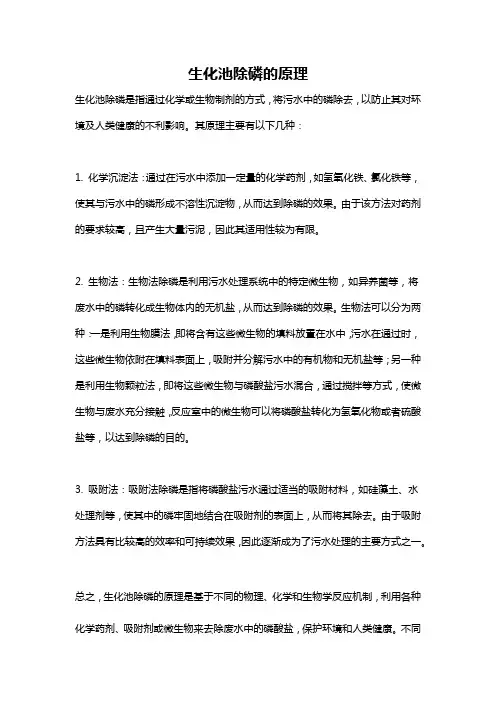 生化池除磷的原理
