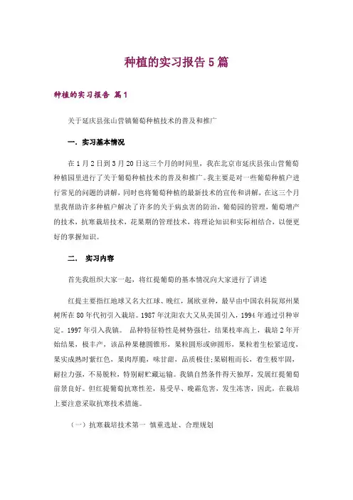 种植的实习报告5篇