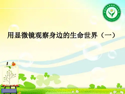 五年级下册科学-2用显微镜观察粤教版-PPT课堂课件