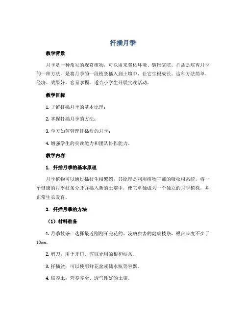 《扦插月季》(教案)2022-2023学年综合实践活动四年级下册