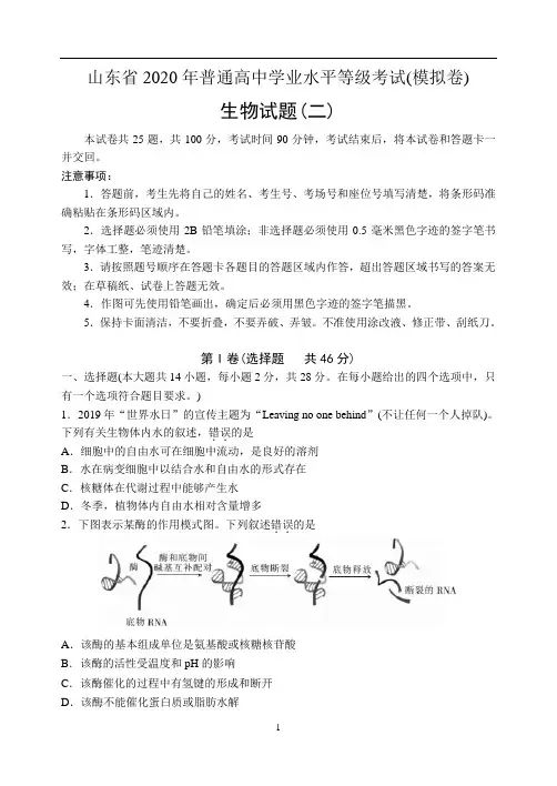 山东省2020年普通高中学业水平等级考试(模拟卷二)(生物)