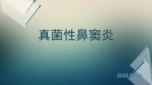 真菌性鼻窦炎-PPT精品课件