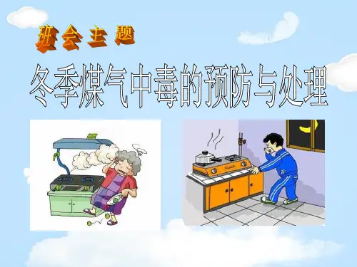 《冬季煤气中毒的预防与处理》PPT【优质课件】