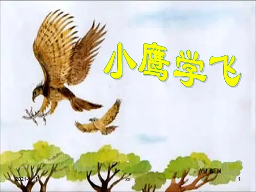 苏教版二年级语文上8《小鹰学飞》