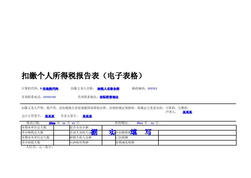 扣缴个人所得税报告表(电子表格)