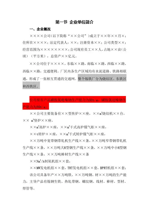 安全评价报告模板(1)：企业单位简介