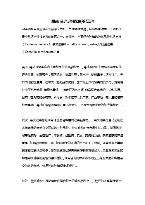 湖南适合种植油茶品种