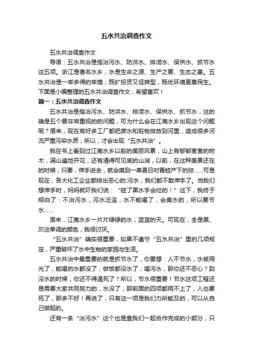 五水共治调查作文