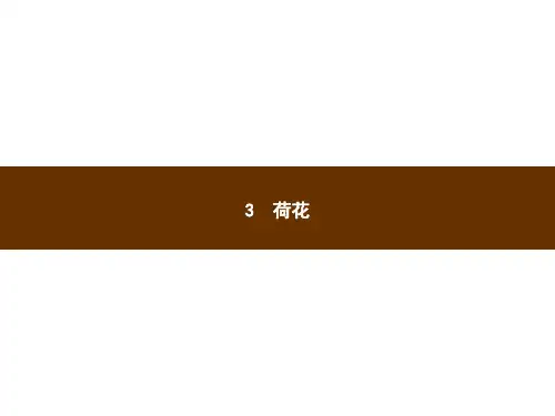 三年级下册语文习题课件3 荷花｜部编版
