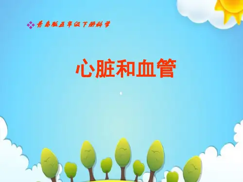 青岛版小学科学五年级上册心脏和血管课件(1)