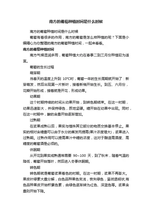 南方的葡萄种植时间是什么时候