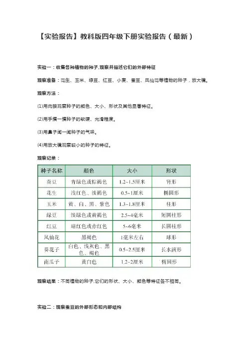 【实验报告】教科版四年级下册实验报告(最新)