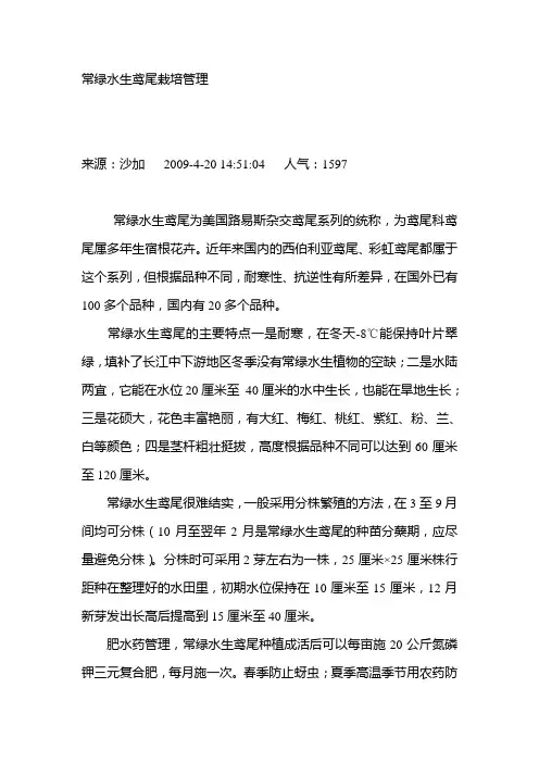 常绿水生鸢尾栽培管理