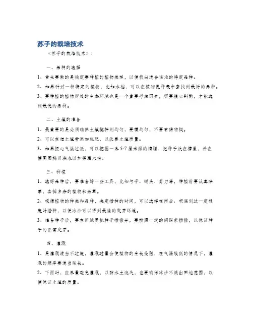 苏子的栽培技术