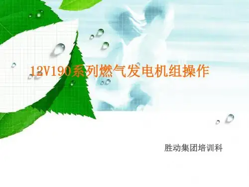 12V190系列燃气发电机组操作
