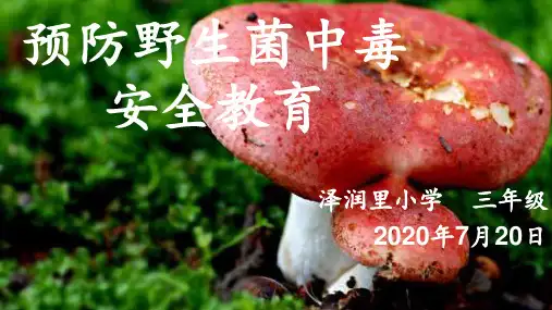 预防野生菌中毒安全教育 ppt课件