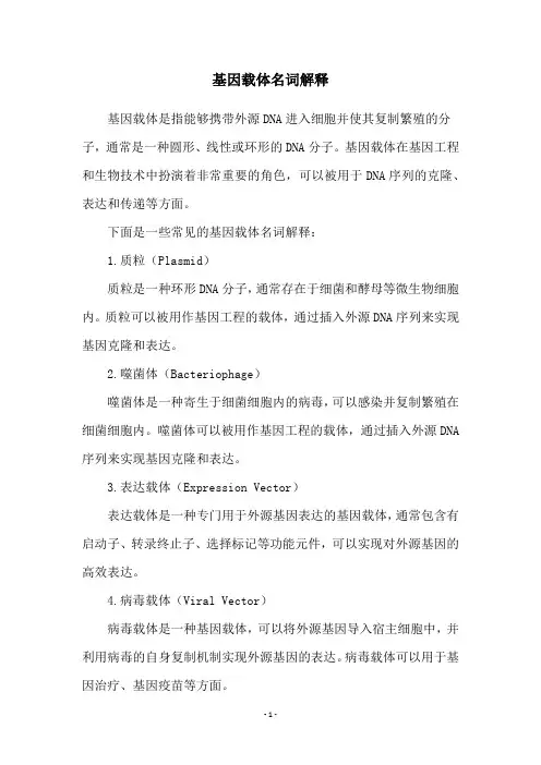 基因载体名词解释