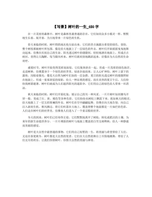 【写景】树叶的一生_450字