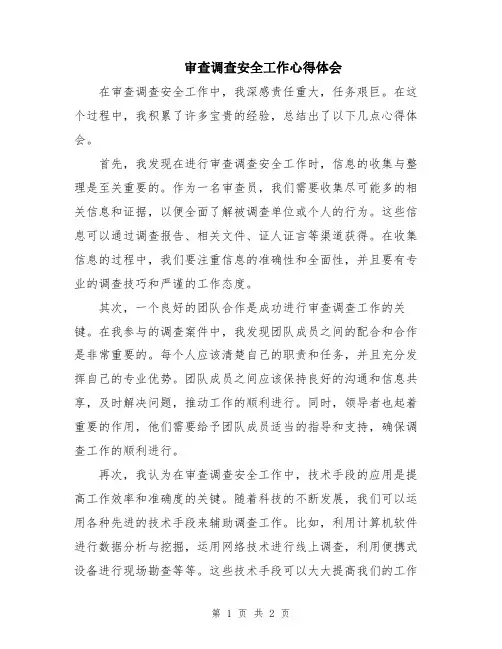审查调查安全工作心得体会
