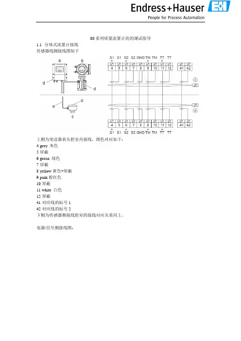 E+H 80质量流量计调试