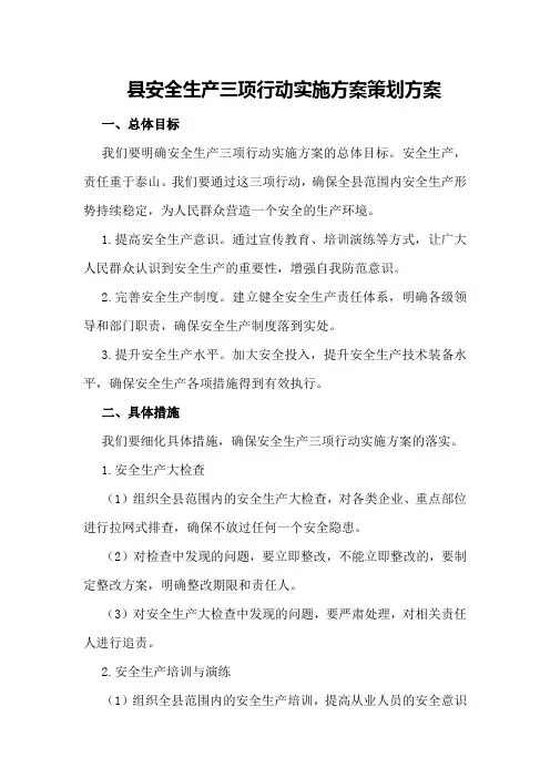县安全生产三项行动实施方案策划方案