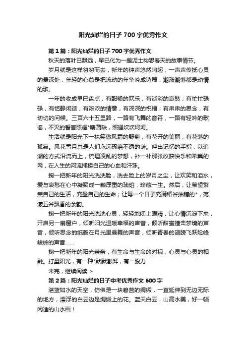 阳光灿烂的日子700字优秀作文