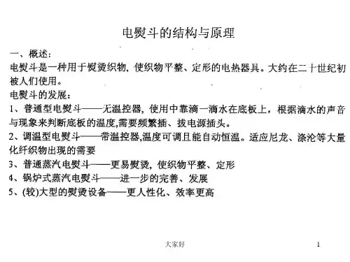 电熨斗的结构 PPT
