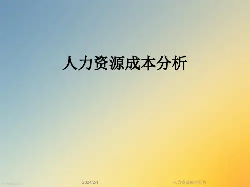人力资源成本分析