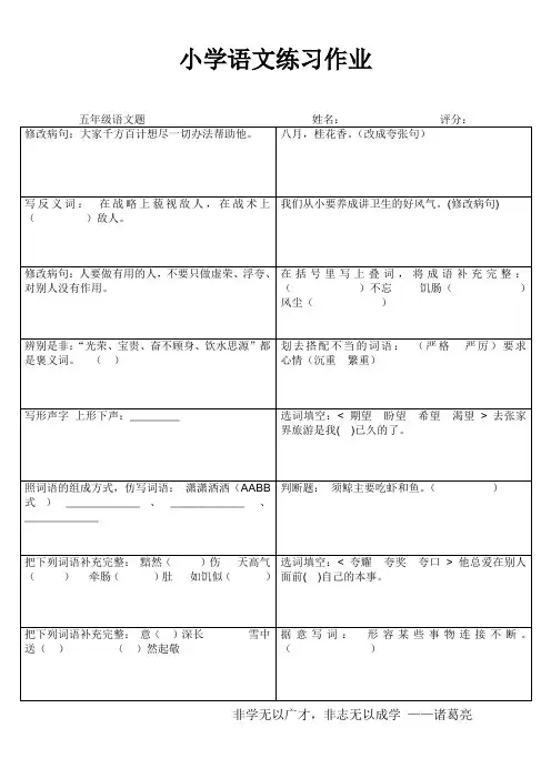 2013小学语文练习作业16