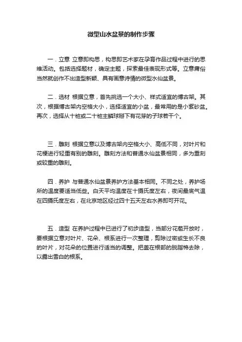 微型山水盆景的制作步骤