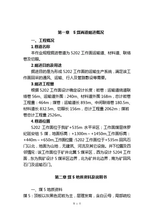 5煤新水平专项安全风险评估报告