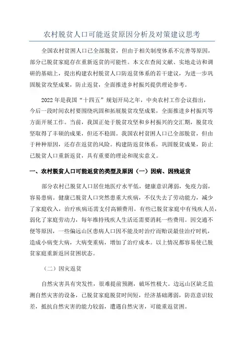 农村脱贫人口可能返贫原因分析及对策建议思考