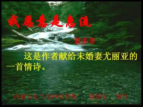 1328：我愿意是急流