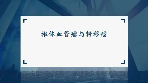椎体血管瘤与转移瘤影像