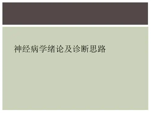 神经病学绪论及诊断思路