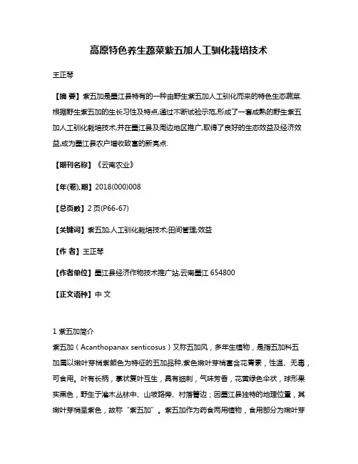 高原特色养生蔬菜紫五加人工驯化栽培技术
