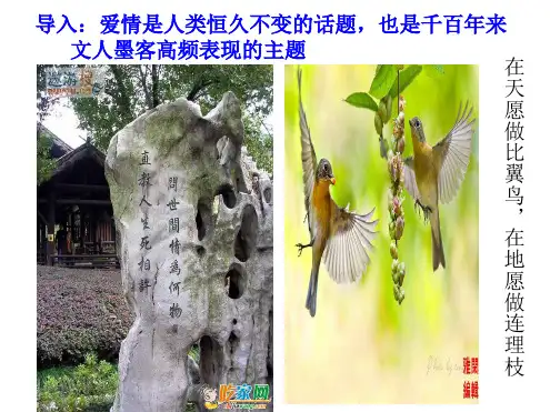 《静女》课件PPT