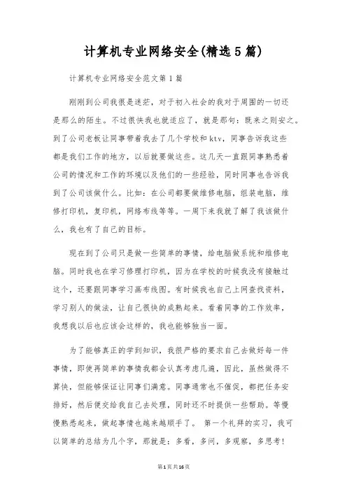 计算机专业网络安全(精选5篇)
