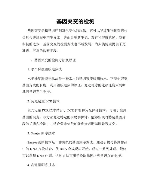 基因突变的检测