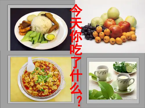 食物中的营养小学四年级下科学 PPT课件