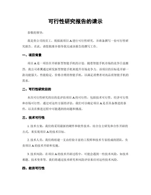 可行性研究报告的请示