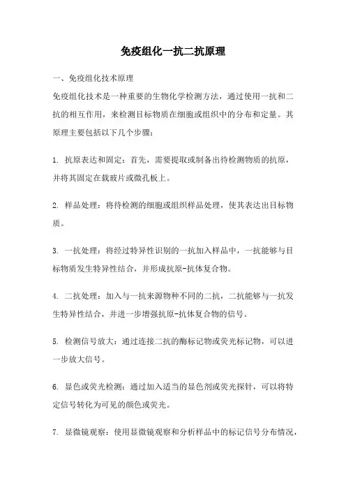 免疫组化一抗二抗原理