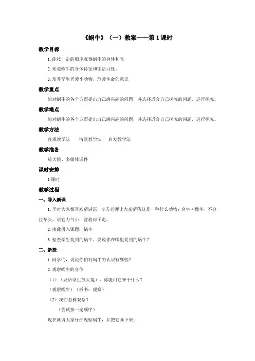 教科版三年级科学上册：《蜗牛(一)》教案——第1课时