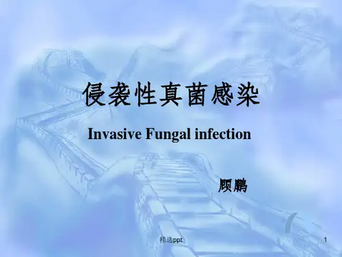 《抗真菌药物》PPT课件