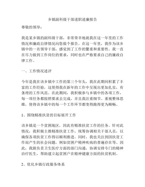 乡镇副科级干部述职述廉报告