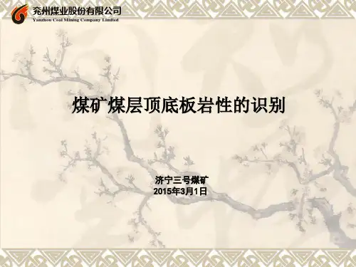 区队技术人员培训--煤矿煤层顶底板岩性的识别 (2015.3.2)