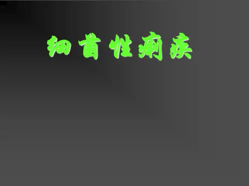 细菌性痢疾